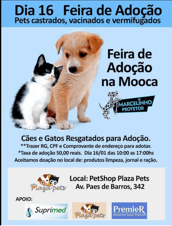 feira de adoção