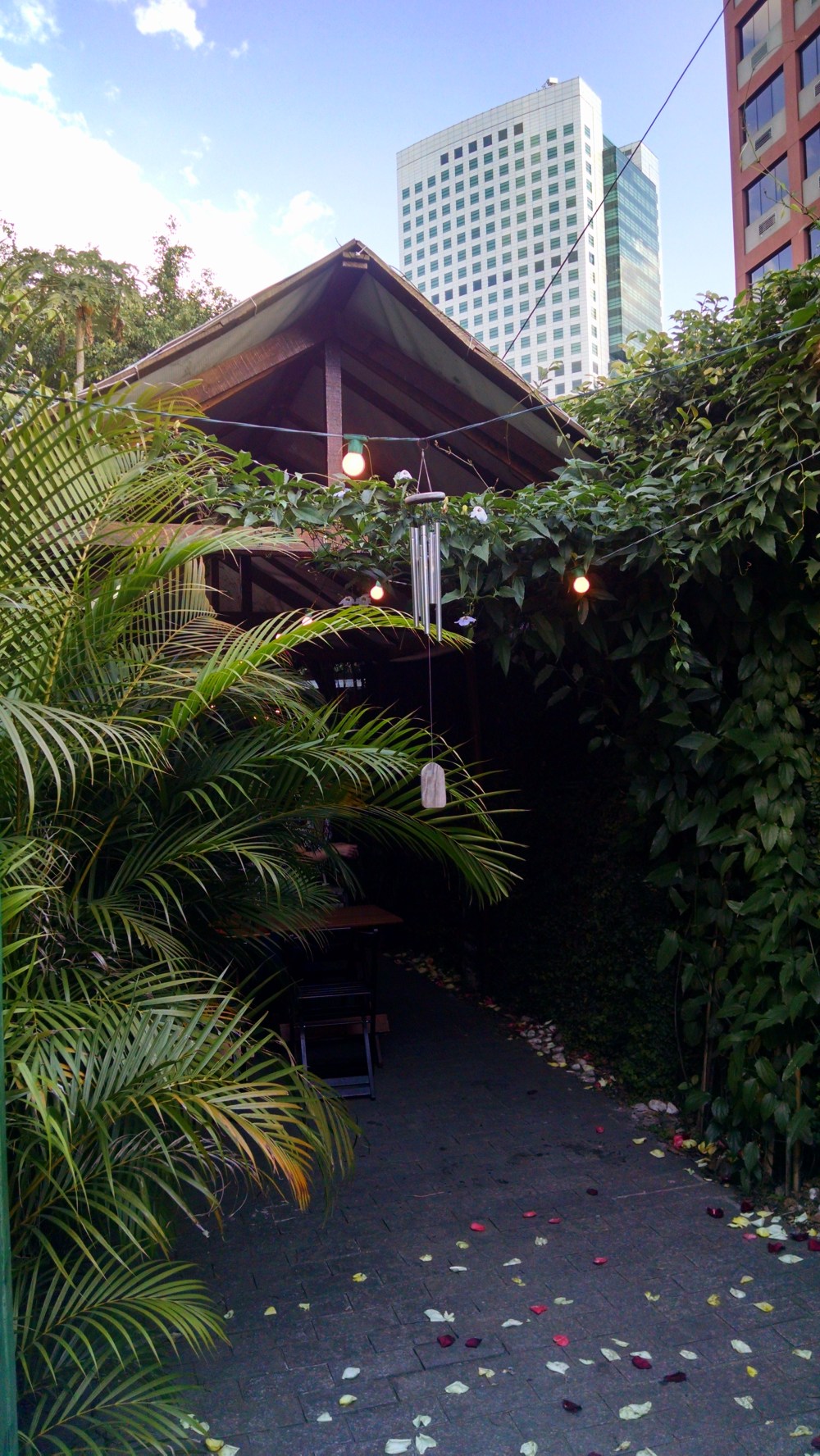 IMG_20160702_154118139_HDR